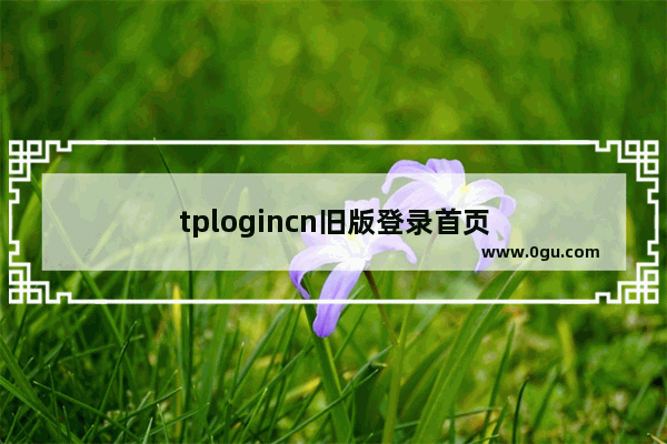 tplogincn旧版登录首页