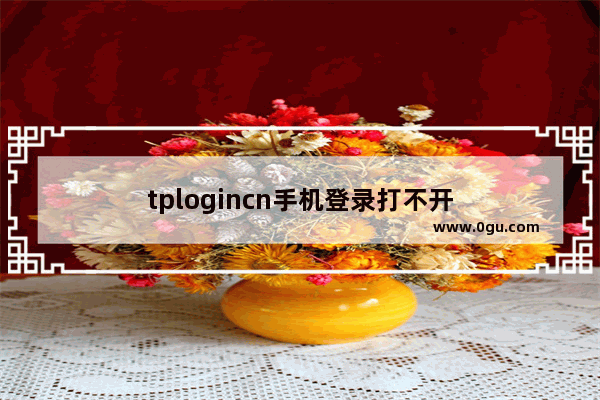 tplogincn手机登录打不开