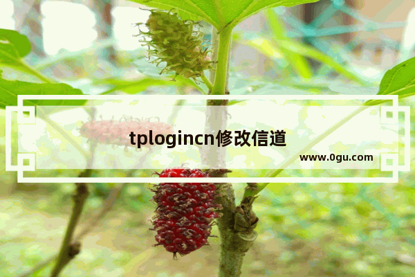 tplogincn修改信道