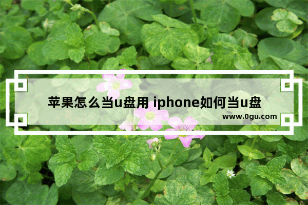 苹果怎么当u盘用 iphone如何当u盘使用