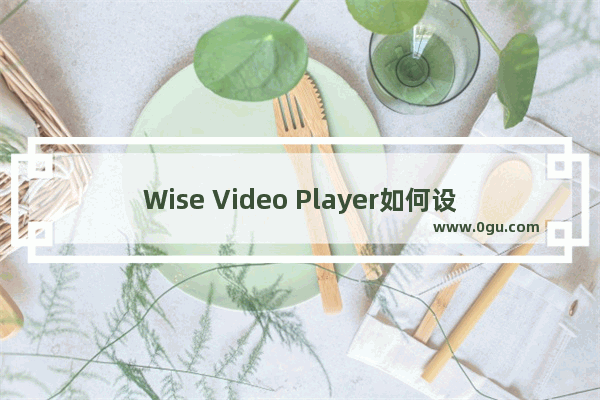 Wise Video Player如何设置最小化时暂停播放