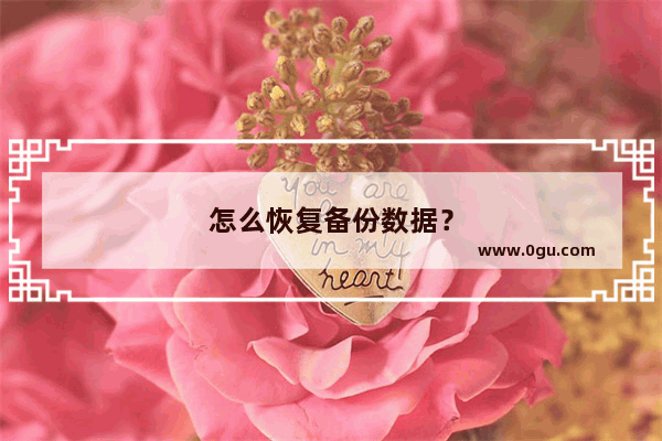 怎么恢复备份数据？