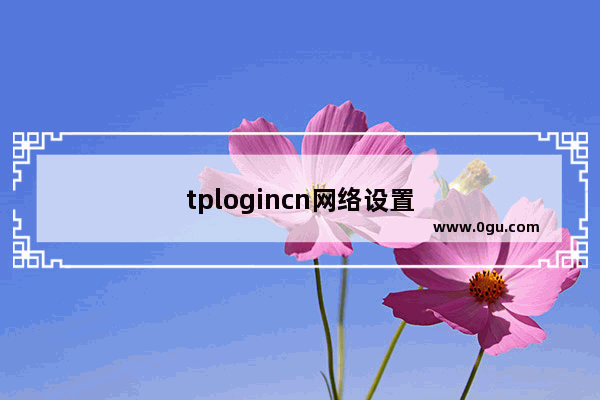 tplogincn网络设置