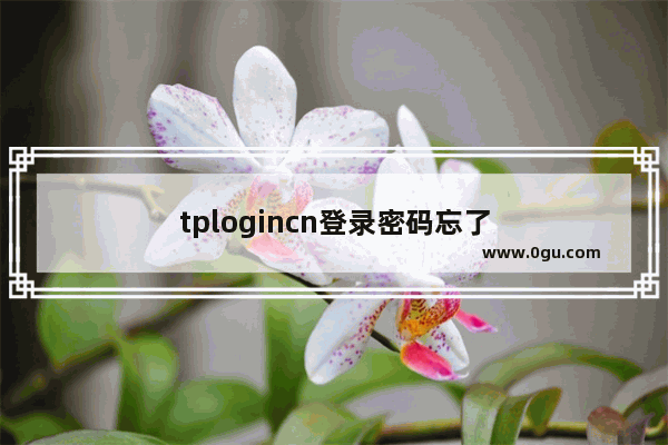 tplogincn登录密码忘了