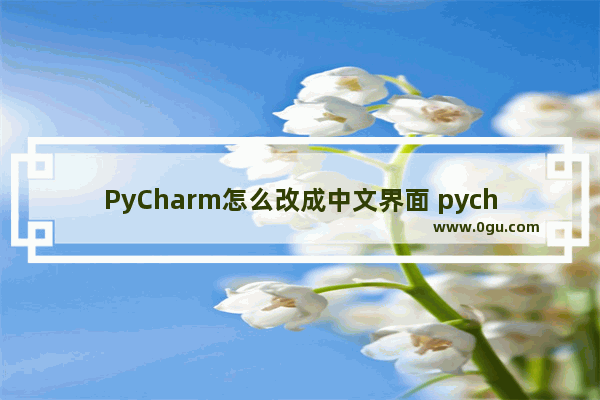 PyCharm怎么改成中文界面 pycharm设置中文的方法