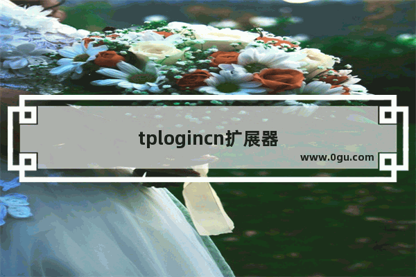 tplogincn扩展器