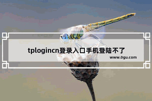 tplogincn登录入口手机登陆不了