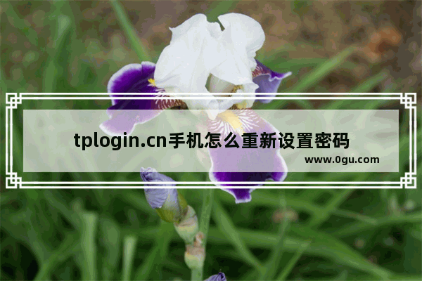 tplogin.cn手机怎么重新设置密码