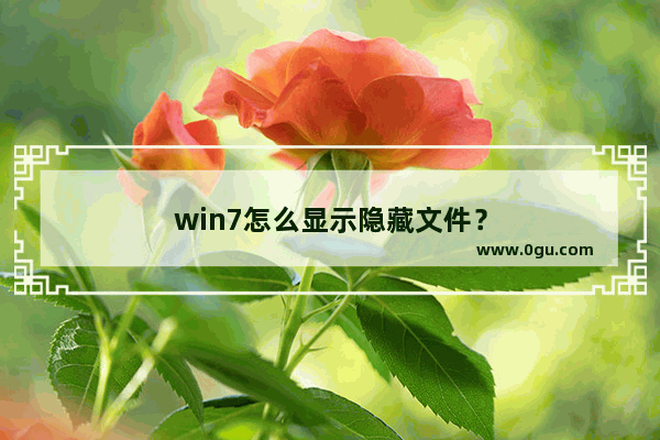 win7怎么显示隐藏文件？