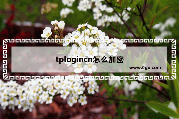 tplogincn怎么加密