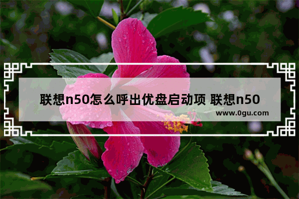 联想n50怎么呼出优盘启动项 联想n50怎么进入bios