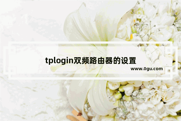 tplogin双频路由器的设置