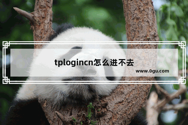 tplogincn怎么进不去