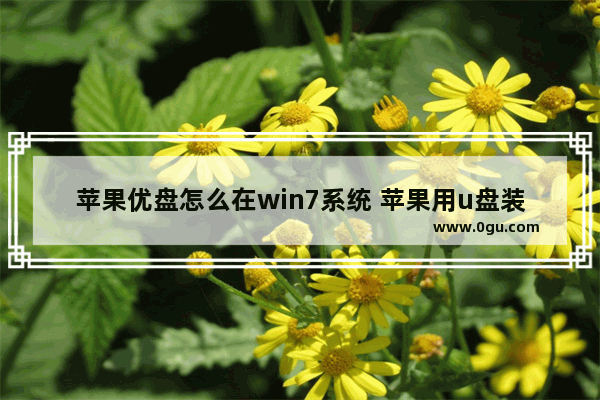 苹果优盘怎么在win7系统 苹果用u盘装win7系统