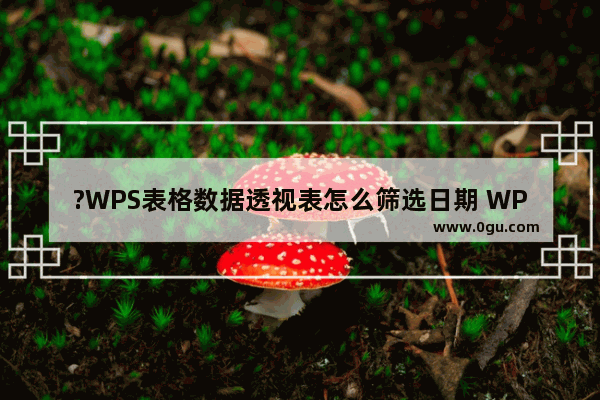 ?WPS表格数据透视表怎么筛选日期 WPS Excel数据透视表中筛选日期数据的方法教程