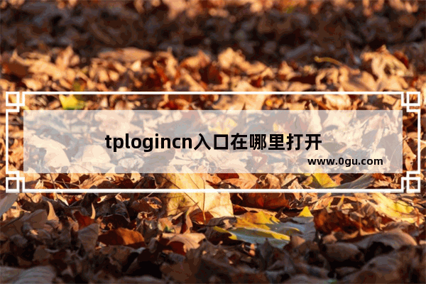 tplogincn入口在哪里打开