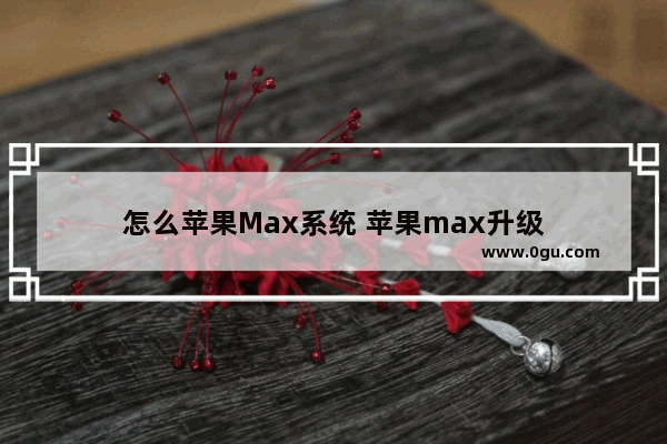 怎么苹果Max系统 苹果max升级