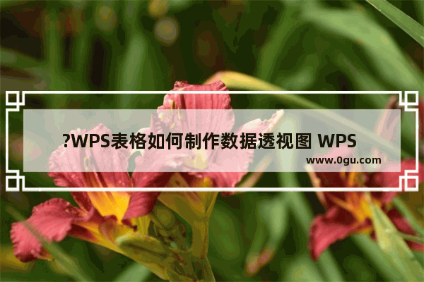 ?WPS表格如何制作数据透视图 WPS Excel插入数据透视图的方法教程