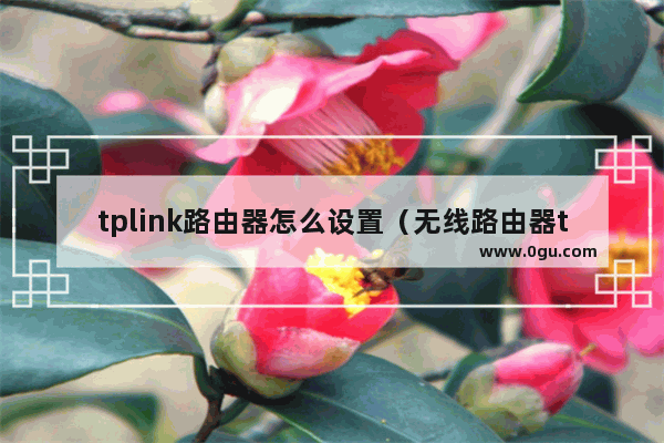 tplink路由器怎么设置（无线路由器tplink怎么设置）