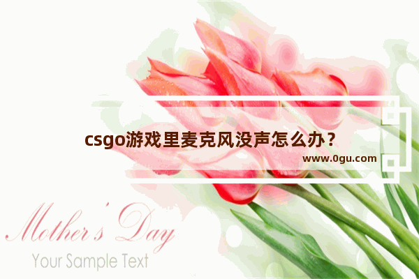 csgo游戏里麦克风没声怎么办？