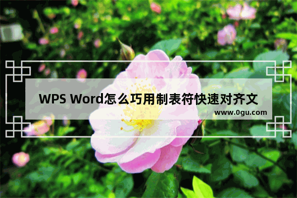 WPS Word怎么巧用制表符快速对齐文字 WPS文档利用制表符快速对齐文字的方法