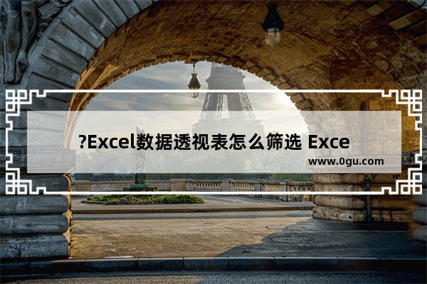 ?Excel数据透视表怎么筛选 Excel表格中对数据透视表进行筛选的方法教程