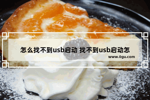 怎么找不到usb启动 找不到usb启动怎么办