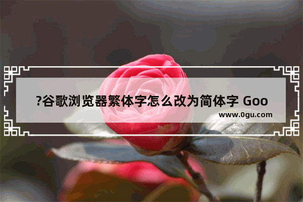 ?谷歌浏览器繁体字怎么改为简体字 Google Chrome字体改成简体中文的方法教程