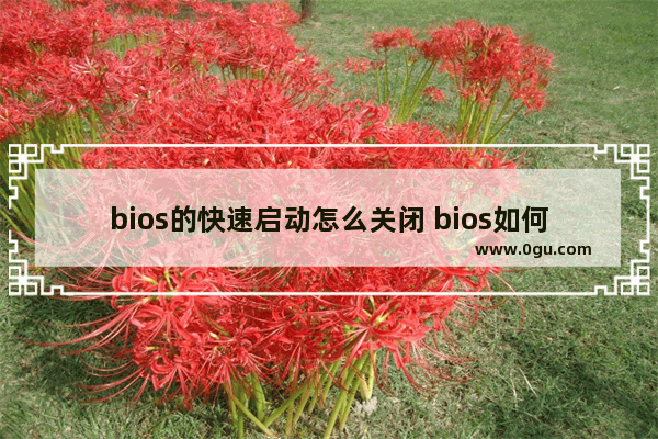 bios的快速启动怎么关闭 bios如何关闭快速启动