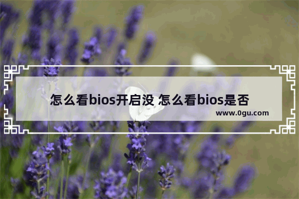 怎么看bios开启没 怎么看bios是否正常