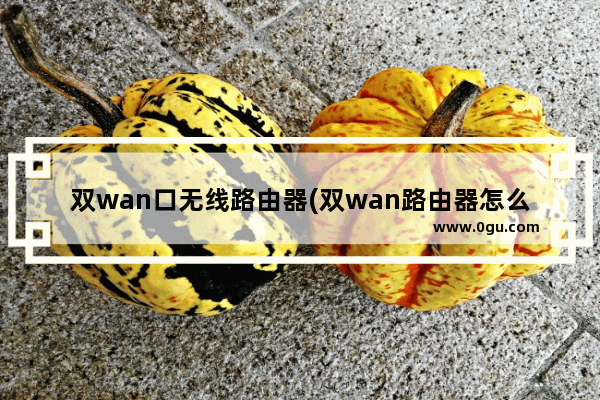 双wan口无线路由器(双wan路由器怎么设置)