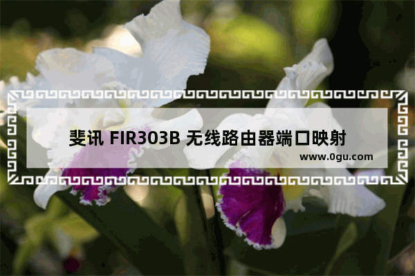 斐讯 FIR303B 无线路由器端口映射设置指南