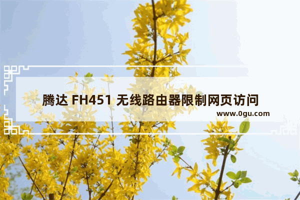 腾达 FH451 无线路由器限制网页访问操作流程