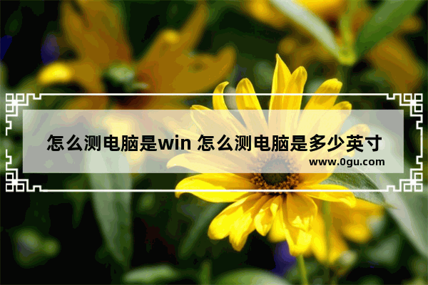 怎么测电脑是win 怎么测电脑是多少英寸