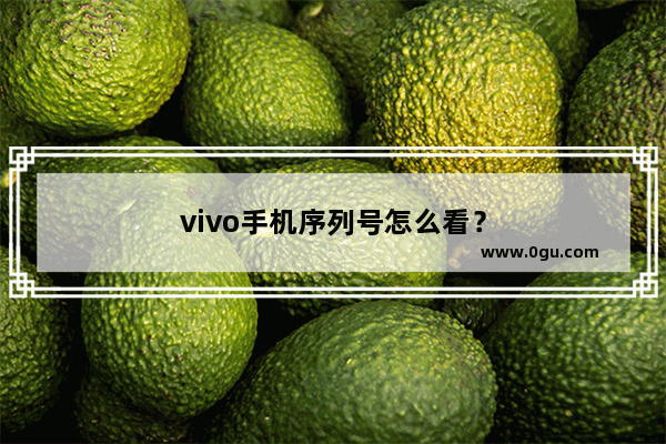 vivo手机序列号怎么看？