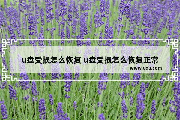 u盘受损怎么恢复 u盘受损怎么恢复正常