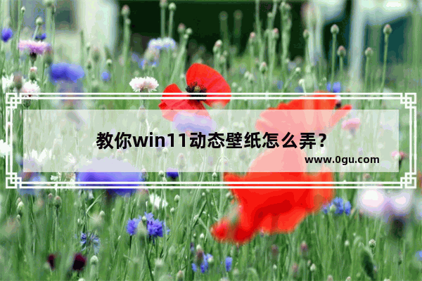 教你win11动态壁纸怎么弄？