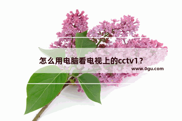 怎么用电脑看电视上的cctv1？