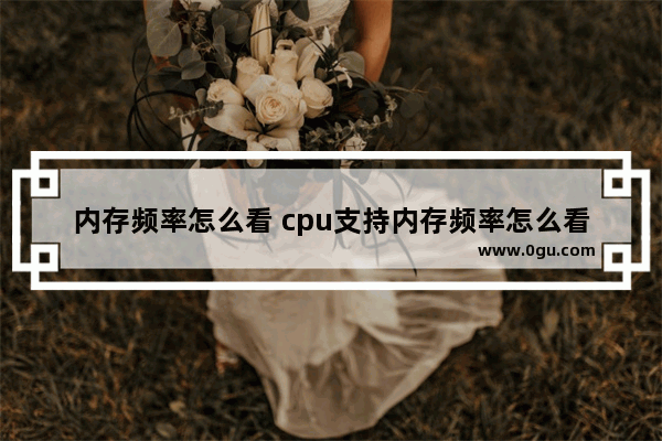 内存频率怎么看 cpu支持内存频率怎么看