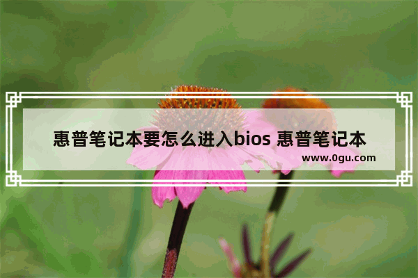 惠普笔记本要怎么进入bios 惠普笔记本电脑如何进入bios界面