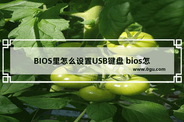 BIOS里怎么设置USB键盘 bios怎么设置usb键盘鼠标