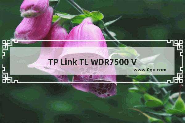 TP Link TL WDR7500 V6 无线路由器上网设置