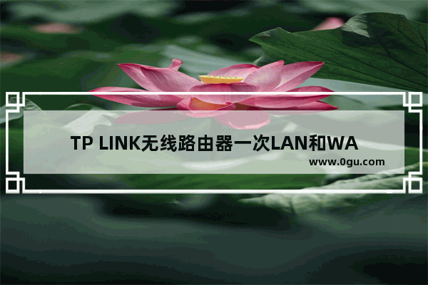 TP LINK无线路由器一次LAN和WAN设置图解