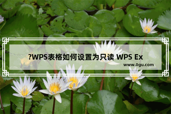 ?WPS表格如何设置为只读 WPS Excel设置为只读模式的方法教程