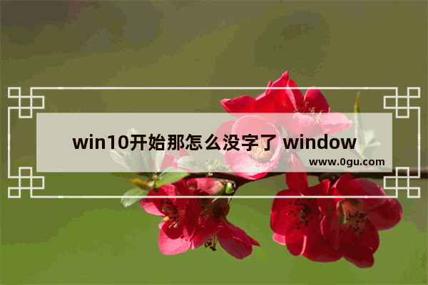 win10开始那怎么没字了 windows10开始菜单没有了