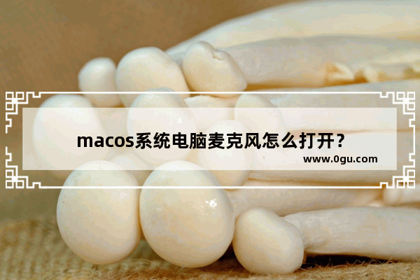 macos系统电脑麦克风怎么打开？