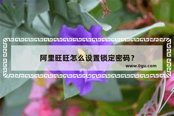 阿里旺旺怎么设置锁定密码？