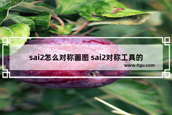 sai2怎么对称画图 sai2对称工具的使用方法