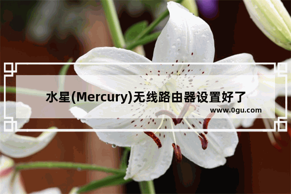 水星(Mercury)无线路由器设置好了上不了网的解决方法