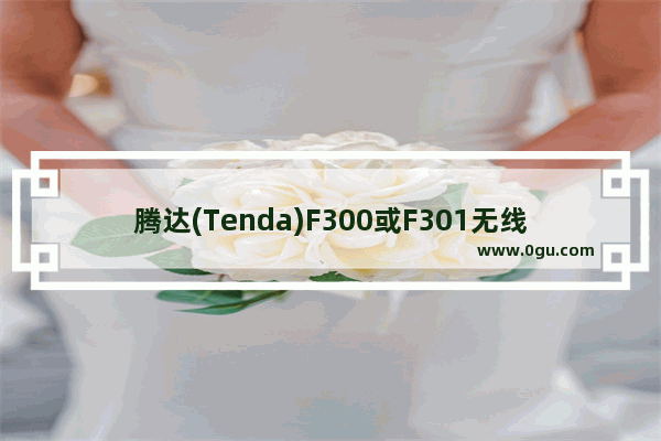 腾达(Tenda)F300或F301无线路由器设置上网